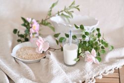 Lait végétal