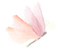 papillons