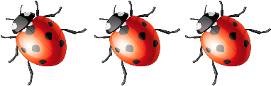 coccinelleetcoquelicot