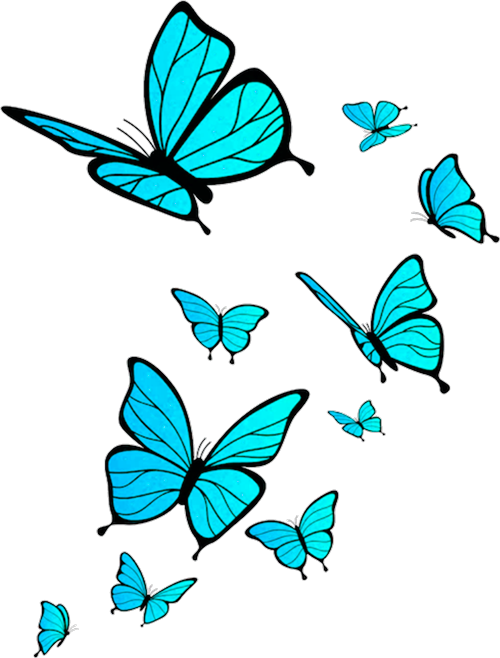 papillons cyan web