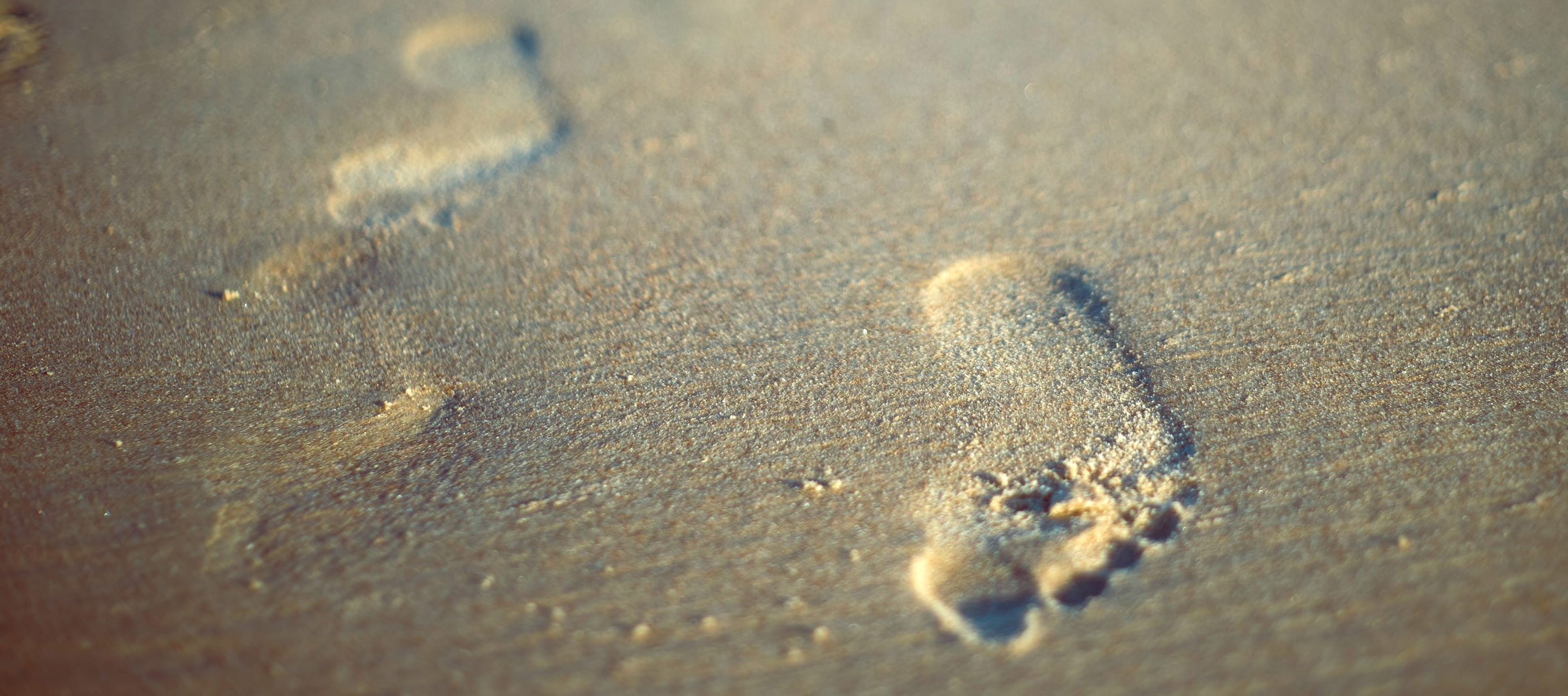 Palcale Dayne, image de rasa kasparaviciene Go3ljkKYHys unsplash