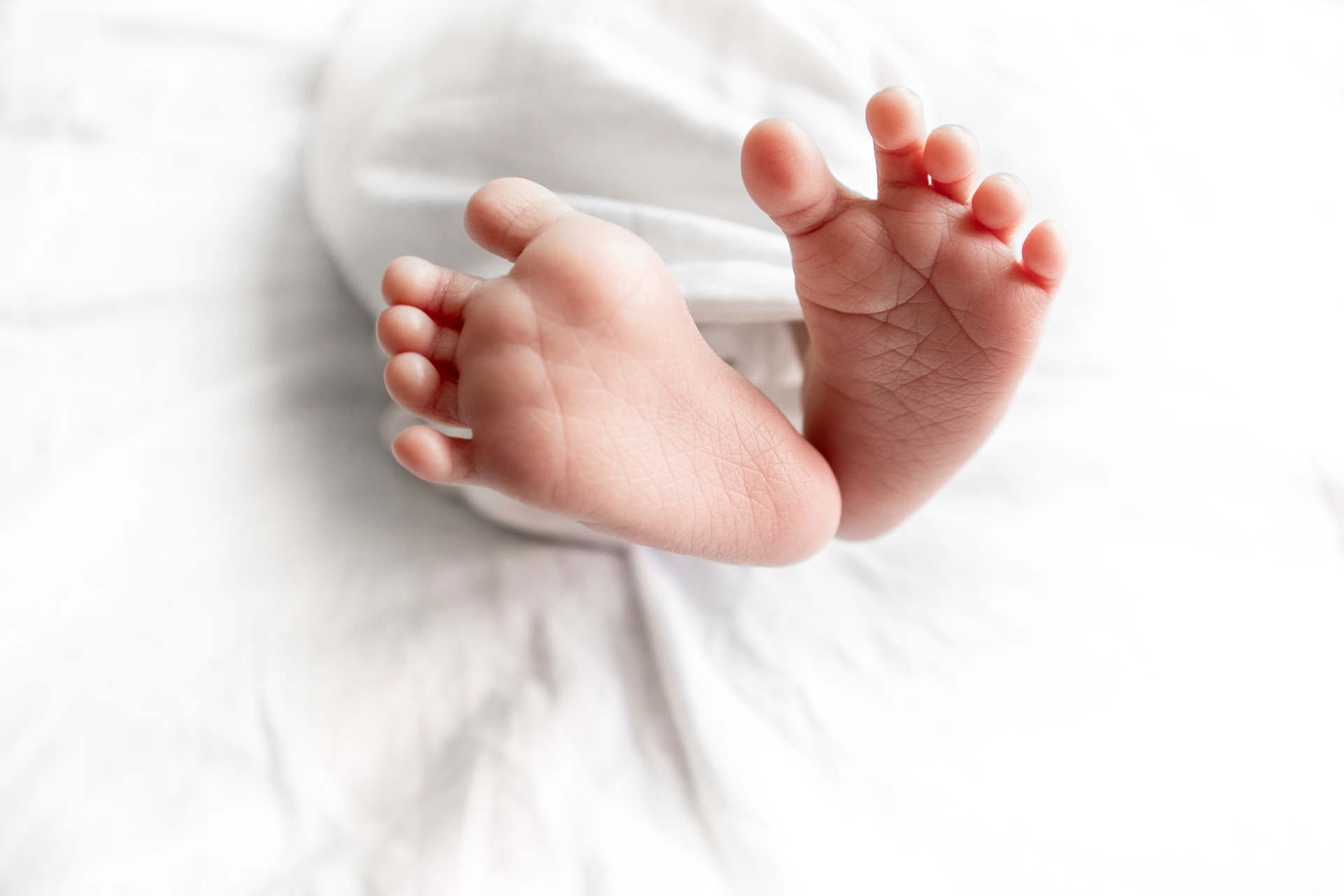 Palcale Dayne, image de sippakorn yamkasikorn 32 sJlJa5gA unsplash