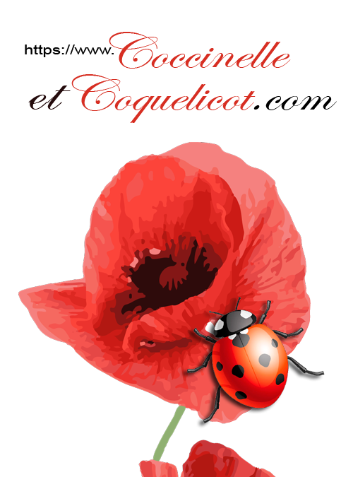 Logo Coccinelle et Coquelicot
